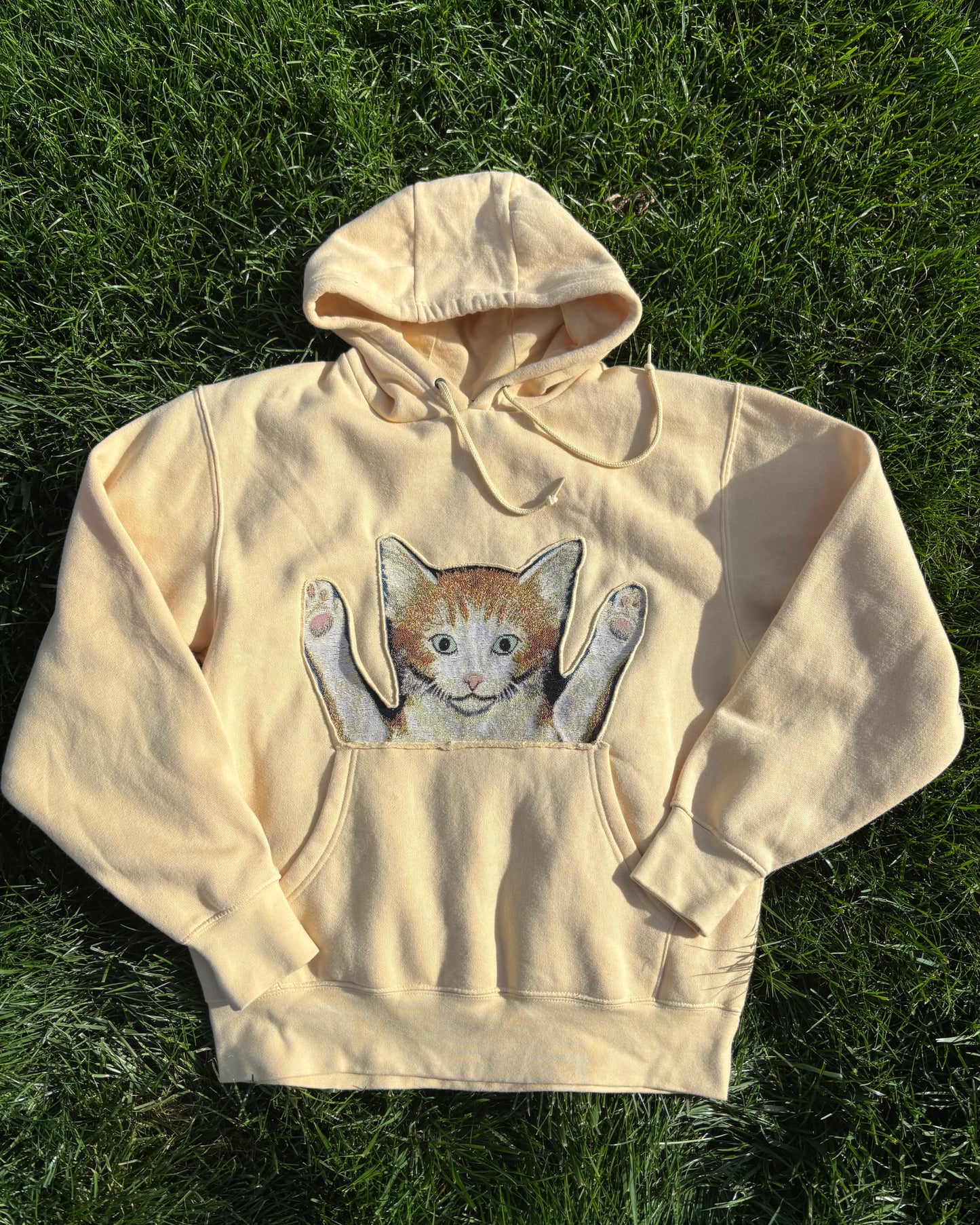 Kitten Hoodie