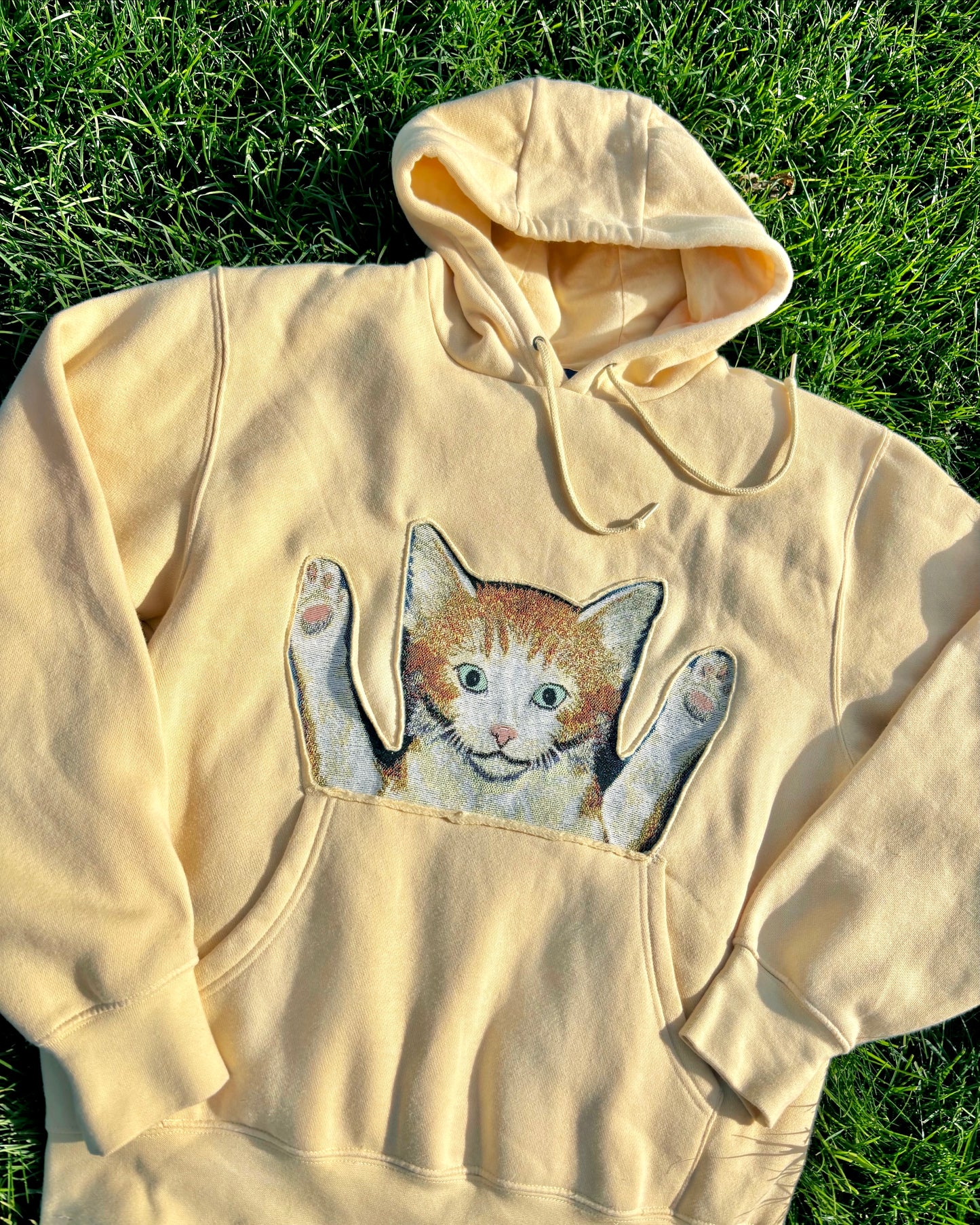Kitten Hoodie