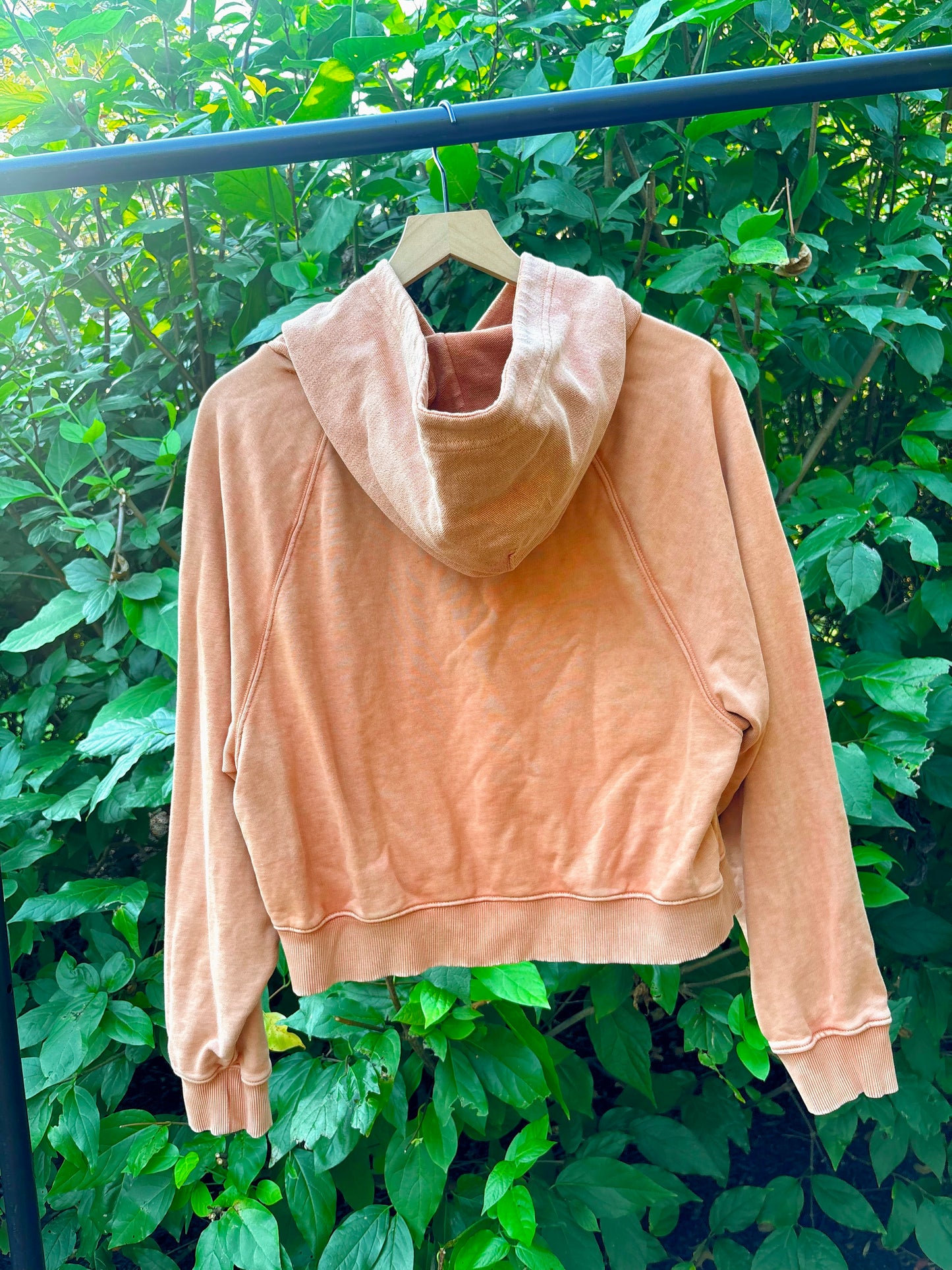 Upcycled Butterfly Sweatshirt 🪰