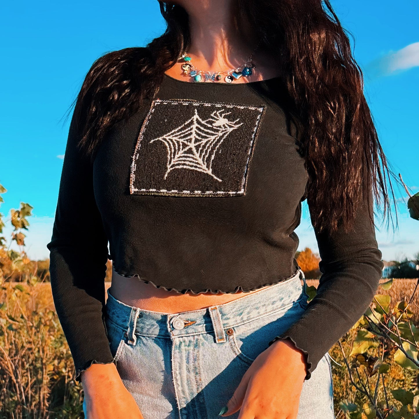 Spider Web Cropped Long Sleeve